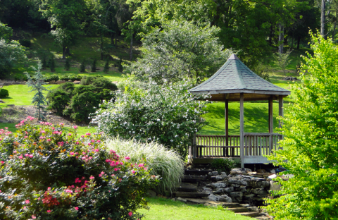 It's Not Spring In Oklahoma Until You Attend This Breathtaking Azalea Festival