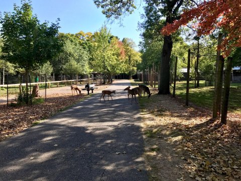 The One Incredible Place In Wisconsin To See Wildlife Up Close