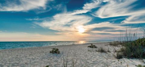 Here's The Very Best Beach In America To Search For Seashells