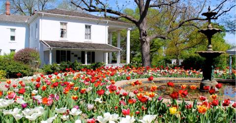 A Trip To Kansas's Neverending Tulip Field Will Make Your Spring Complete