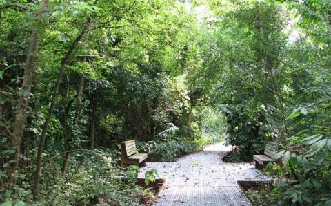 The Ancient Forest In Missouri That's Right Out Of A Storybook