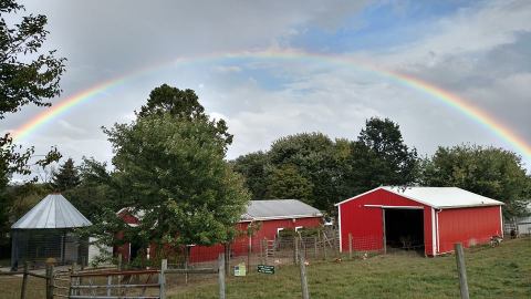 The Animal Park Near Pittsburgh That's An Absolute Blast