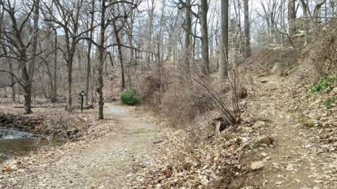 Hike To This Spring In Delaware That’s Said To Have Mystical Healing Powers