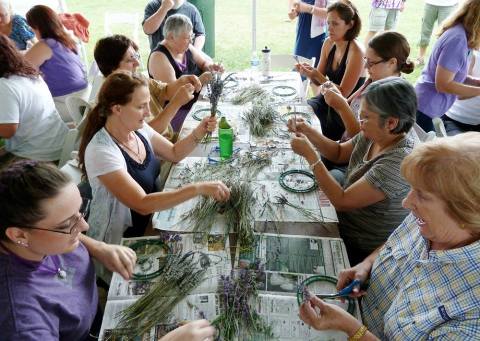 The Lavender Festival In Colorado That’s Unlike Any Other