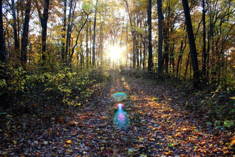 The Spooky Indiana Hike That Will Lead You Somewhere Deserted