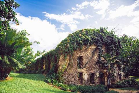 Take A Trip Back In Time With A Tour Of This Stunning Old Hawaii Mill