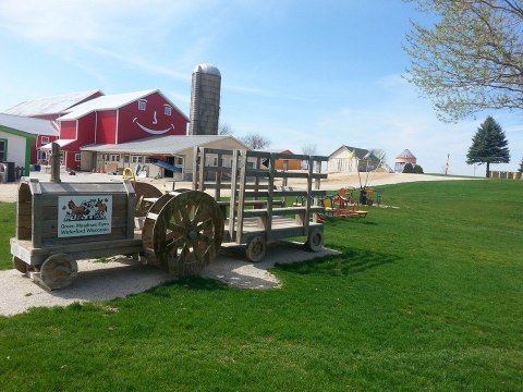 There’s A Petting Farm Near Milwaukee And You’re Going To Love It