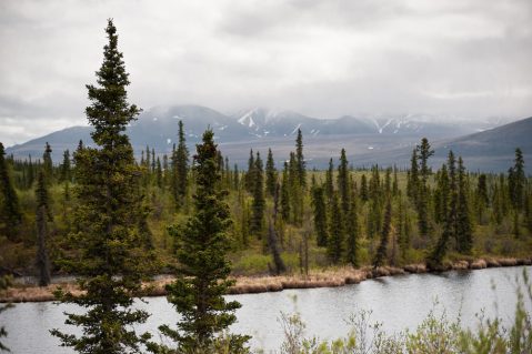 Most People Don’t Know About These Strange Ruins Hiding In Alaska