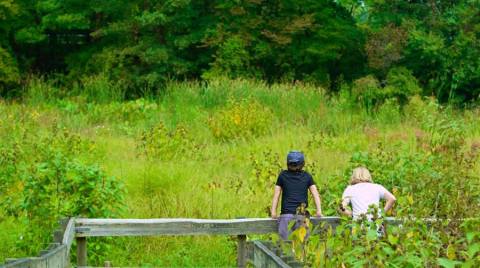 This Easy Wildflower Hike Near Cleveland Will Transport You Into A Sea Of Color