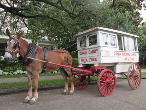 A Trip To This Charming New Orleans Candy Stand Will Bring Out The Kid In You