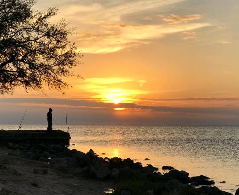 7 Lesser-Known State Parks In Louisiana That Will Absolutely Amaze You