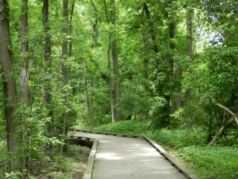 This Beautiful Boardwalk Trail In Pennsylvania Is The Most Unique Hike Around