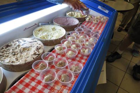 You Don't Want To Miss The Biggest, Most Delicious Ice Cream Festival In Pennsylvania