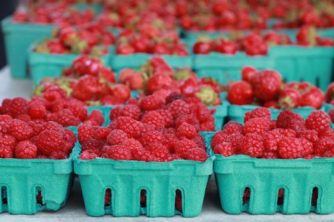 Everyone In Maine Must Visit This Epic Farmers Market At Least Once