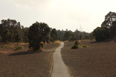 The Trail In Hawaii That Will Lead You On An Adventure Like No Other