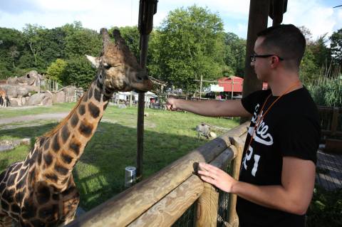 The Incredibly Unique Wildlife Experience That You Can Have Right Here In Tennessee