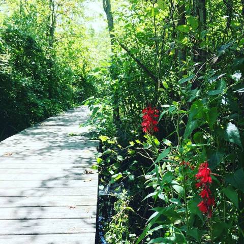 The Secret Garden Hike In Connecticut Will Make You Feel Like You’re In A Fairytale