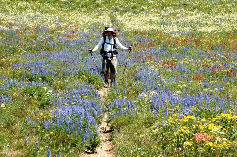 This Drop-Dead Gorgeous Wyoming Trail Has To Be On Your Must-Hike List This Year