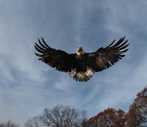 There’s A Wildlife Park In Missouri That’s Perfect For A Family Day Trip