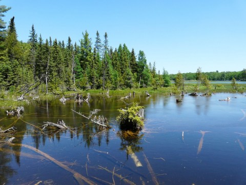 These Little-Known Natural Springs In Michigan Will Calm The Senses