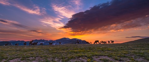 This Unbelievable Colorado Park Looks Like A Painting Come To Life