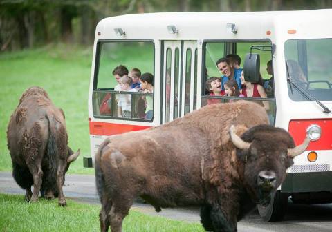 Most People Don’t Know This Washington Zoo And Adventure Park Even Exists