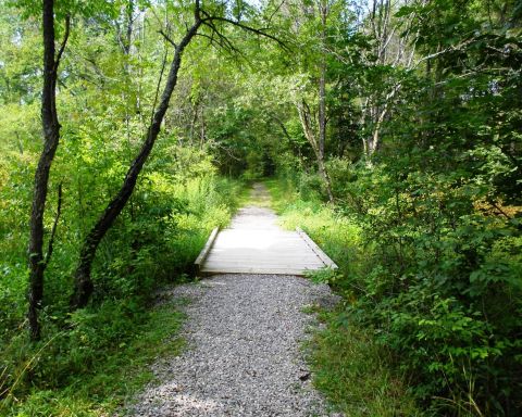 The Secret Garden Hike In Pittsburgh Will Make You Feel Like You’re In A Fairytale