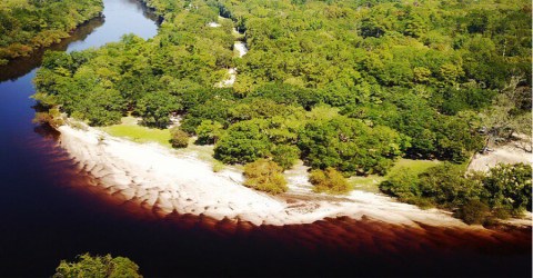 This South Carolina River Is So Remote That The Campsites Are Only Accessible By Boat