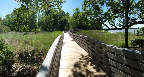 The Hidden Park In Maryland Full Of Magnificent Archaeological Treasures