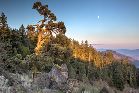 The One Incredible Trail That Spans The Entire State of Oregon
