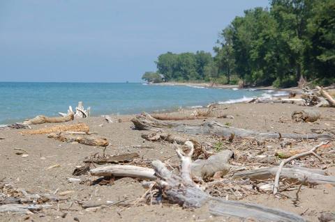 The Mentor Lagoons Nature Preserve Near Cleveland Will Bring Out The Explorer In You