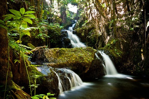 The Magical Museum Of Living Plants In Hawaii That Needs To Be Experienced In Person