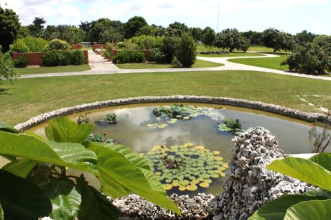 There's No Other Park In The World Quite Like This One In Florida