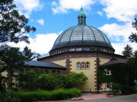 You’ll Want To Plan A Day Trip To Detroit’s Magical Butterfly House