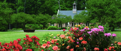 The 7 Most Colorful, Whimsical Gardens In Louisiana To Lose Yourself In