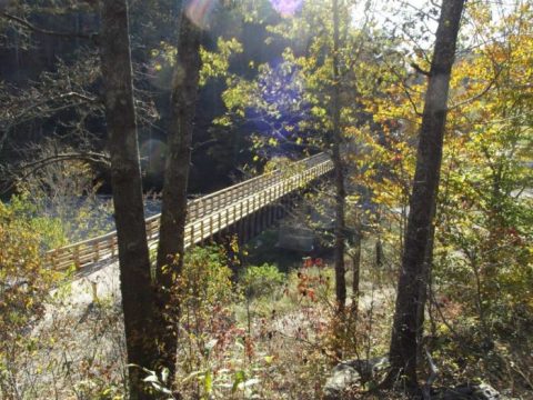 If You Take One Trail In Kentucky, Let It Be This One