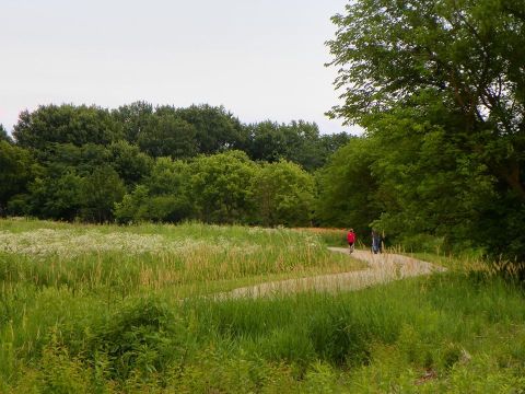 The Little Known Park Near Cincinnati That Has Something For Everyone