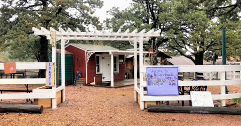 The Beautiful Lavender Farm Hiding In Plain Sight In Arizona That You Need To Visit