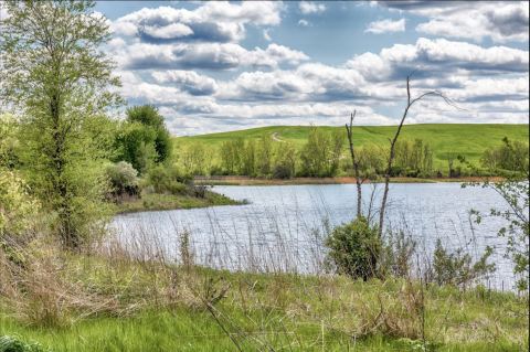 12 Gorgeous Hidden Lakes In Illinois You'll Want To Visit Time And Time Again