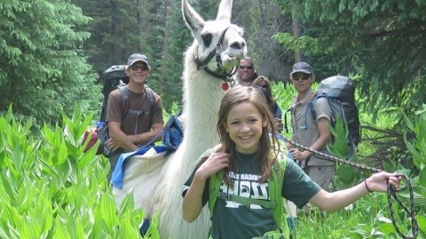 You Can Have Lunch With Llamas At This Unique Colorado Destination