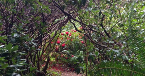 The Secret Garden Hike In Oregon Will Make You Feel Like You’re In A Fairytale