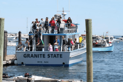 Take This Whale Watching Tour In New Hampshire For An Unforgettable Adventure