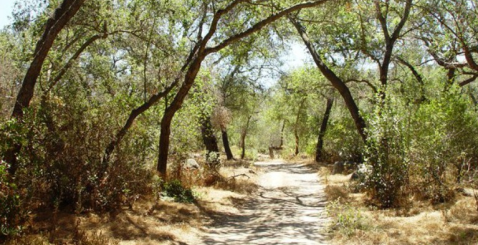 There's A Wilderness Garden Park In Southern California That Is A Dream To Explore