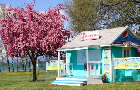 The 10 Very Best Milkshakes You Can Possibly Find In Montana