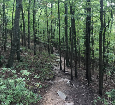 Hike Across State Lines When You Take This Gorgeous Mountain Trail In Virginia