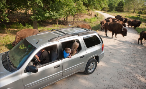 There’s A Wildlife Park In Nebraska That’s Perfect For A Family Day Trip