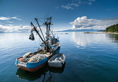 This Beloved Fish Shack In Alaska Brings The Sea Straight To Your Plate