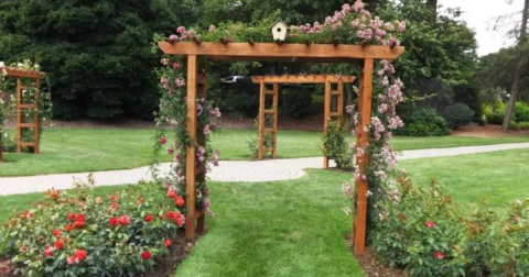 There's A Beautiful Rose Garden Hiding In Pennsylvania And It's So Worth A Visit