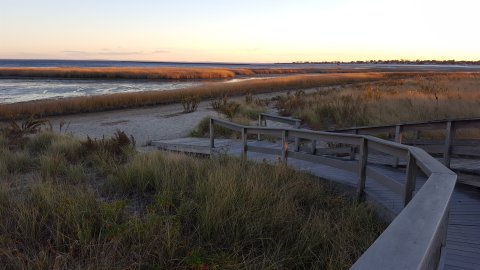 This Beautiful Boardwalk Trail In Connecticut Is The Most Unique Hike Around