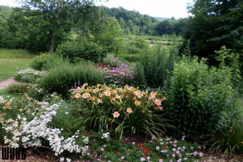 The Secret Garden Hike In West Virginia Will Make You Feel Like You’re In A Fairytale